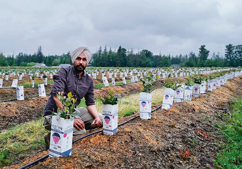 6ixbuzztv's tweet photo. Indian-born immigrants make up 64.3% of immigrant farmers in Canada’s fruit and tree nut farming sector with British Columbia being a major hub for the industry https://t.co/CYOMQI4frd