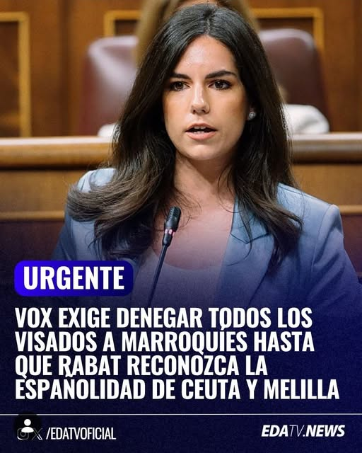 pepeluspain's tweet photo. https://t.co/P0UQGuy2BQ