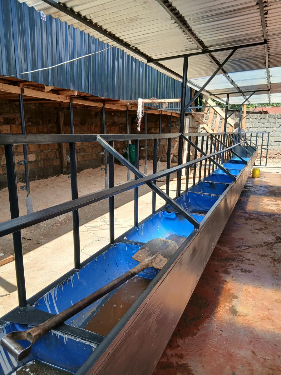 lamoutmike's tweet photo. @kupal_robinson Yeah.
For Quality Dairy Cows And Construction Of Modern Cowshed Call Or WhatsApp Me At +254716301107. https://t.co/q2v3U2T8Mk