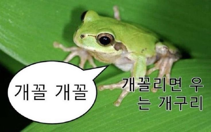 h_yunxe's tweet photo. https://t.co/RRmhAQkRoI