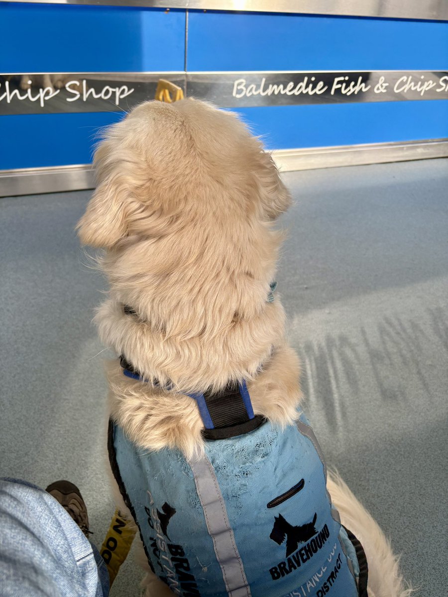 lyn_golden's tweet photo. Yum yums incoming! ๐
#Balmedie #fishandchips https://t.co/Sx8HF4d7ME