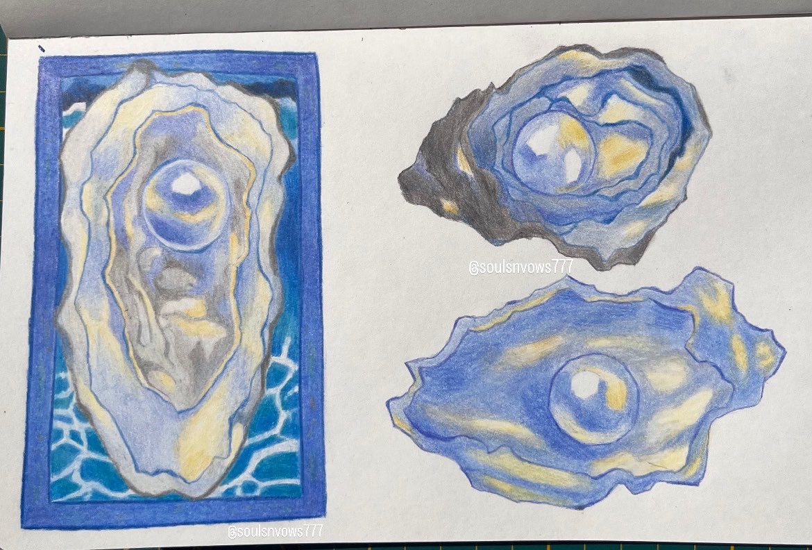 desiderium444_'s tweet photo. ꪆৎ oysters study 🦪 https://t.co/JRDSkEmop7