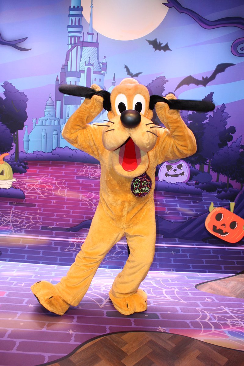 CharactersPBlog's tweet photo. Hong Kong Disneyland has a Meet &amp; Draw activity on Main Street, U.S.A. You first get to learn how to draw the character and then move on to meet them, we finally met Pluto to complete the set. 🎃🍂
#DisneyParks
#DisneyHalloween
#HKDL https://t.co/PD31jveppk