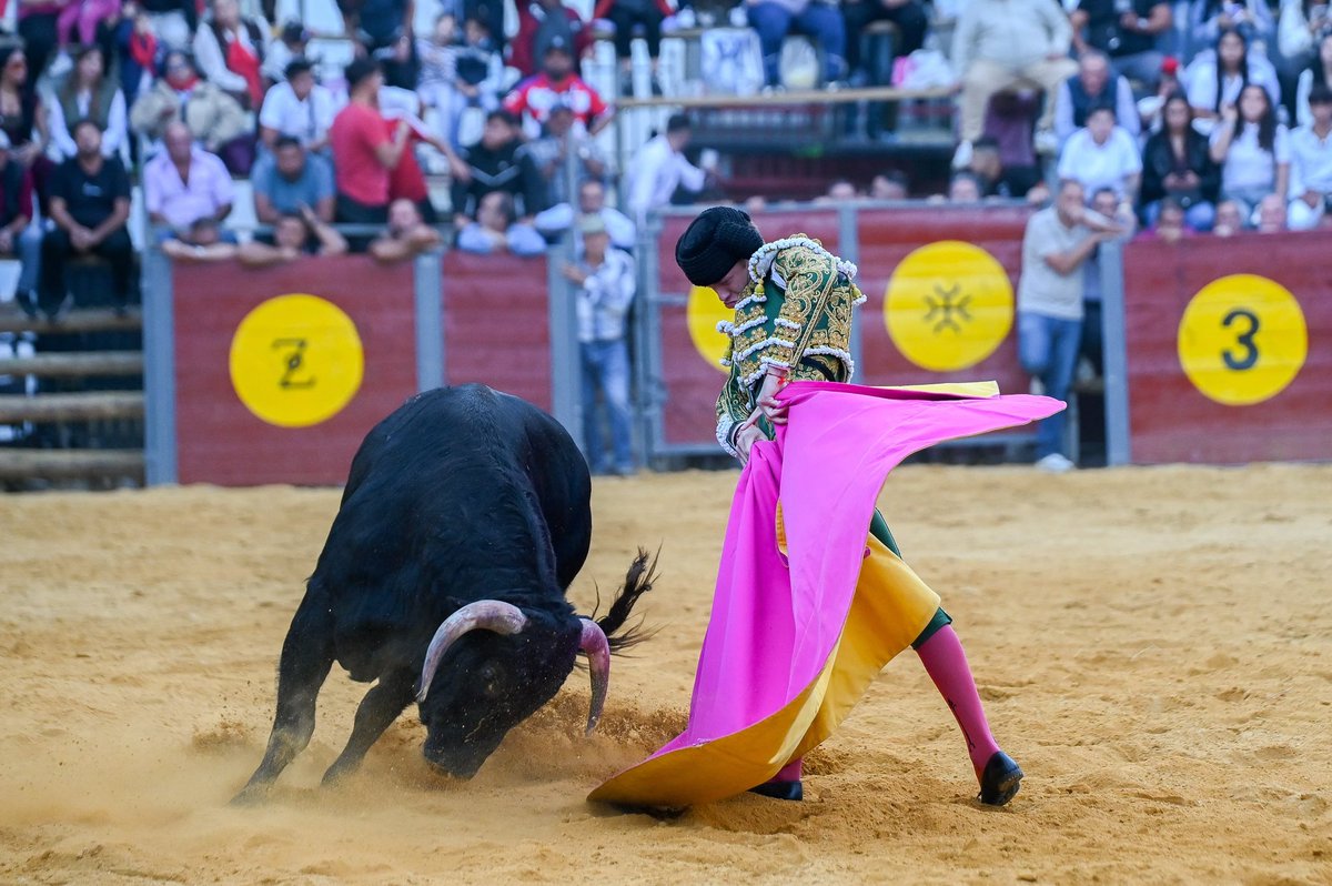 CircuitoGranada's tweet photo. 6️⃣ Palmas para Pablo Sánchez en el sexto de la tarde.

🐂 “Guaraní”, de Gabriel Rojas, ha sido silenciado en el arrastre. https://t.co/P4Io1UnOhD