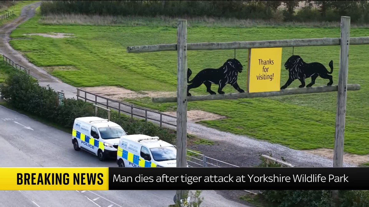 Aerial footage shows police vans parked near a wildlife park entrance featuring lion silhouettes and a 'Thanks for visiting!' sign, with a 'BREAKING NEWS' banner reading 'Man dies after tiger attack at Yorkshire Wildlife Park.'