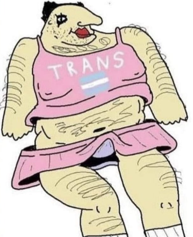 mimi488966's tweet photo. "WOW, you literal bigot! What do you mean you aren’t attracted to transwomen and that lesbianism is same-sex attraction? Lol, read a book! The 'woman' category is literally unisex now. You should be attracted to my identity, you genital fetishist!" 

#trans #transgender #terf https://t.co/cOpjiB4CJ8