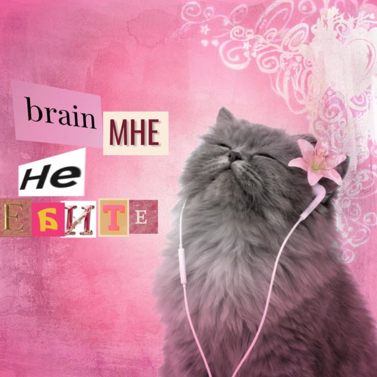 _justwriteit_'s tweet photo. Я, когда на работе просят выполнить мои должностные обязанности: https://t.co/2IXUaZy64O