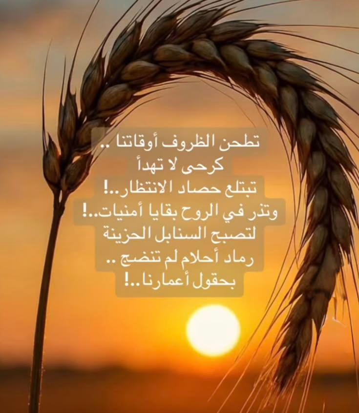 AmMhmdn's tweet photo. https://t.co/5HJ91Rs1OL