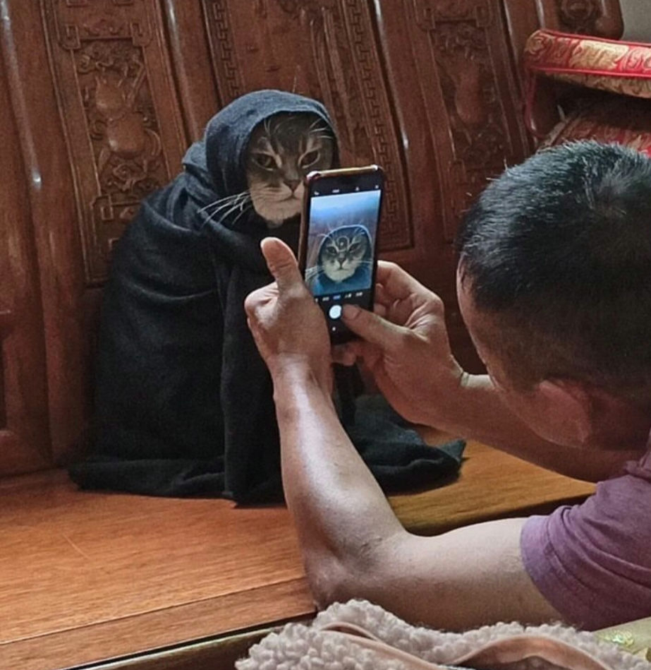 PunchingCat's tweet photo. https://t.co/ZchYy8ZdRu