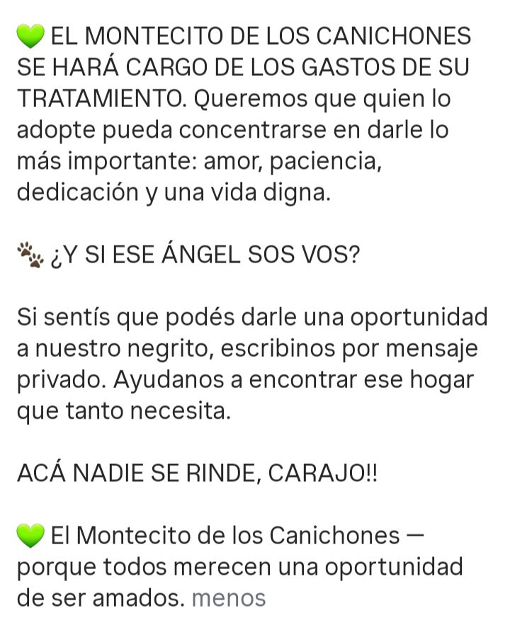 MisVaquerita32's tweet photo. EL MONTECITO DE LOS @canichones BUSCA un PAPÁ O MAMÁ DE ORO P SU NEGRITO CANICHON 
El Montecito se hará cargo de los gastos de su tratamiento https://t.co/JCGkQNFxGQ