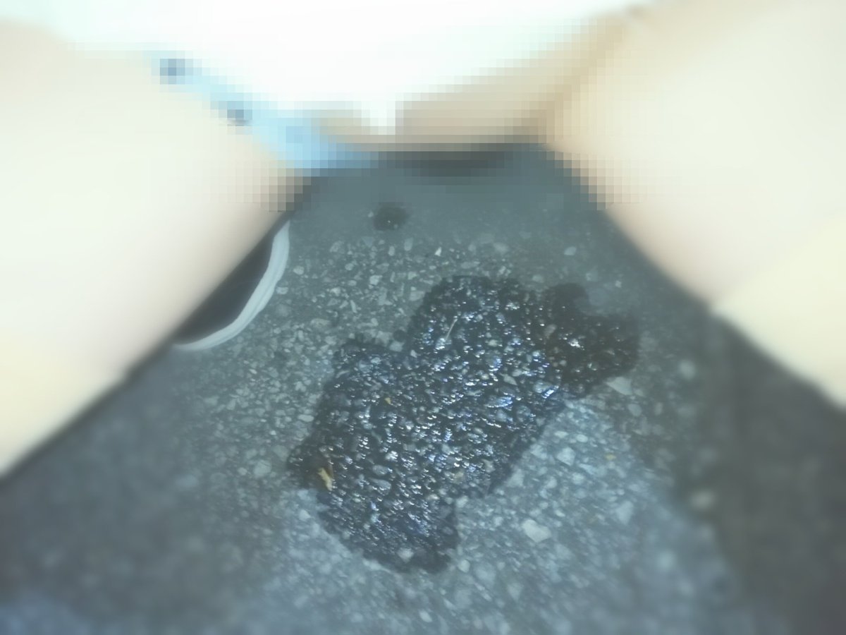 rosyu07's tweet photo. 💦 https://t.co/aX6d8y2nM9