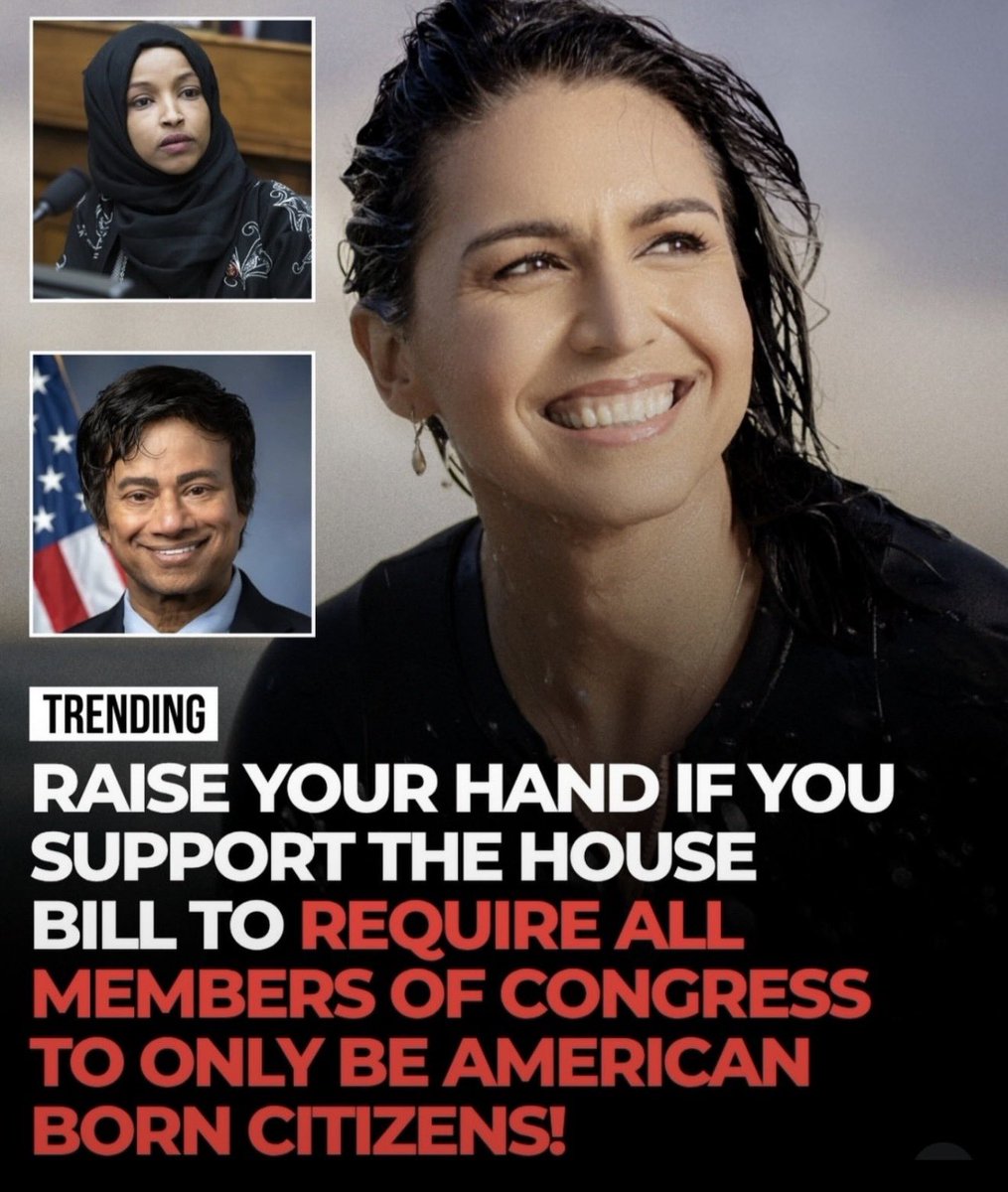 Luna_Jones79's tweet photo. Nancy Mace is pushing a House bill that would require every member of Congress to be an American-born citizen. The pictures next to her are the point of the fight. Raise your hand if you support it. https://t.co/sSTQOzCswu