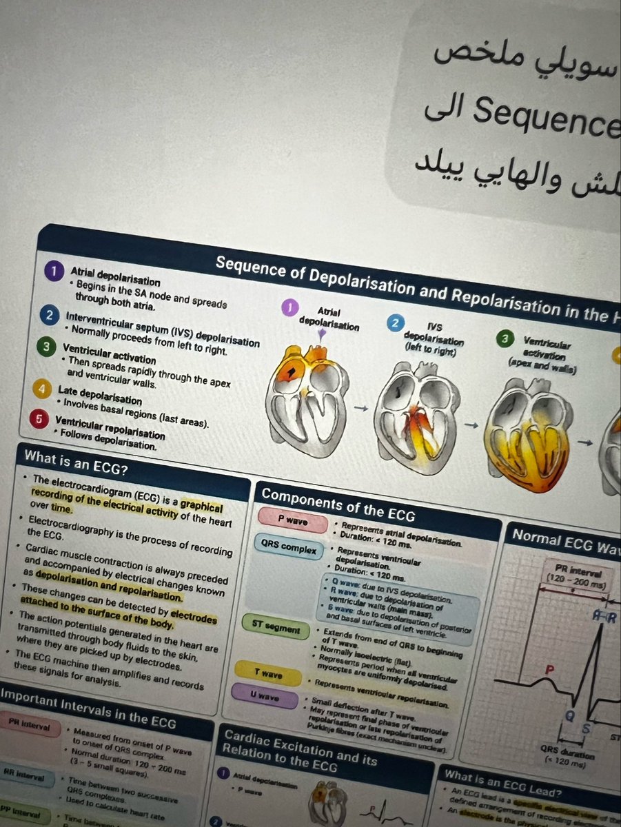 sara25uj's tweet photo. Lowkey feeling like Plankton lately with all this AI usage https://t.co/QnEvSuBjhr
