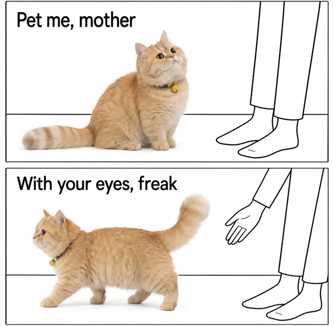 catshealdeprsn's tweet photo. https://t.co/iImrdAvQ48