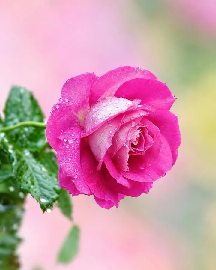 S_g809's tweet photo. میری ذات دے سارے گنجل، تیریاں یاداں وچ پھسے نے،
جیویں ساہواں دے سبھ رشتے، تیرے ناواں وچ پھسے نے۔

#رازٍ_محبت https://t.co/1gpbAeBaH9