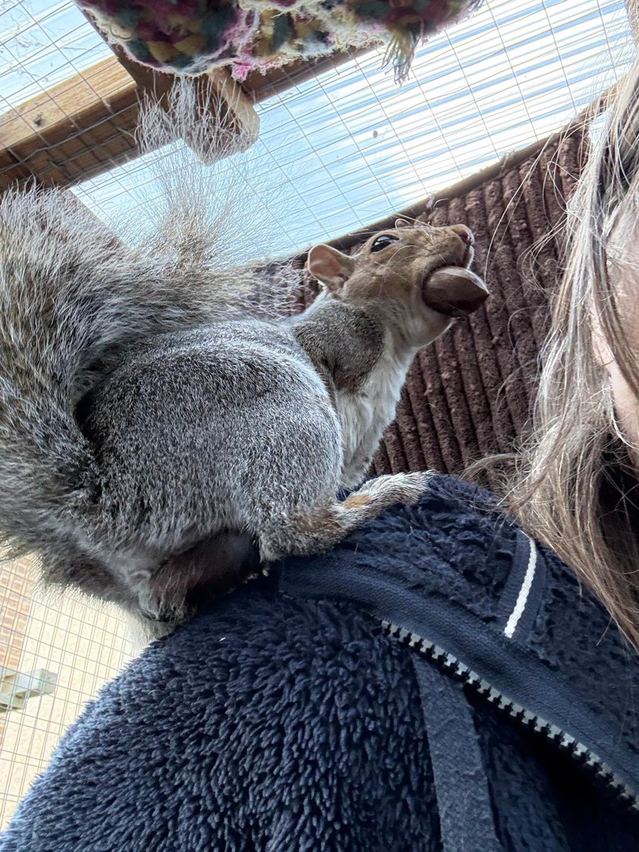 AllumPaul's tweet photo. I wonder where you’re burying that Jason 🐿🩶🐿 https://t.co/9JUcccDfJp
