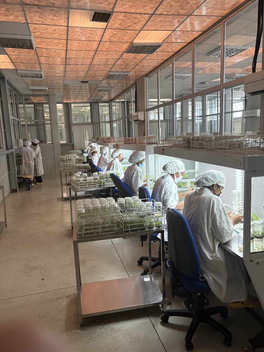 BurbridgeDuke's tweet photo. This is what I wanted to show everyone. This is Tigray’s biotechnology center. 

It was started by @ReliefTigray 20 years ago and now it is a sustainable business. 

The work that they are doing right here in Tigray will one day break the region out of… https://t.co/L3SDFuCBxn