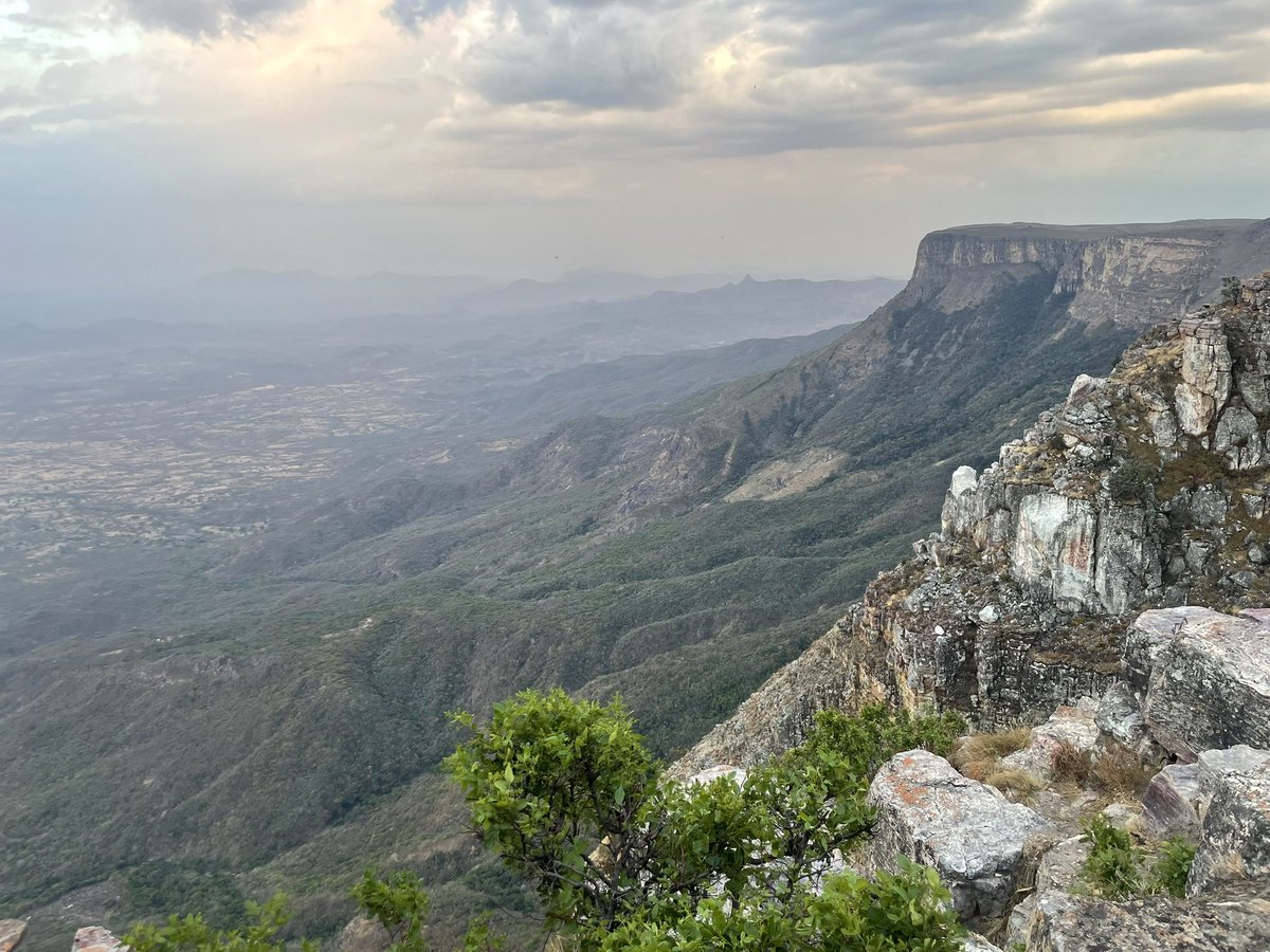 hmlfpereira's tweet photo. Dia fantástico no Lubango com visita inesquecível à Tundavala e o meu primeiro endemismo da região. @idiv @CIBIO_InBIO https://t.co/glkvXIjxkw