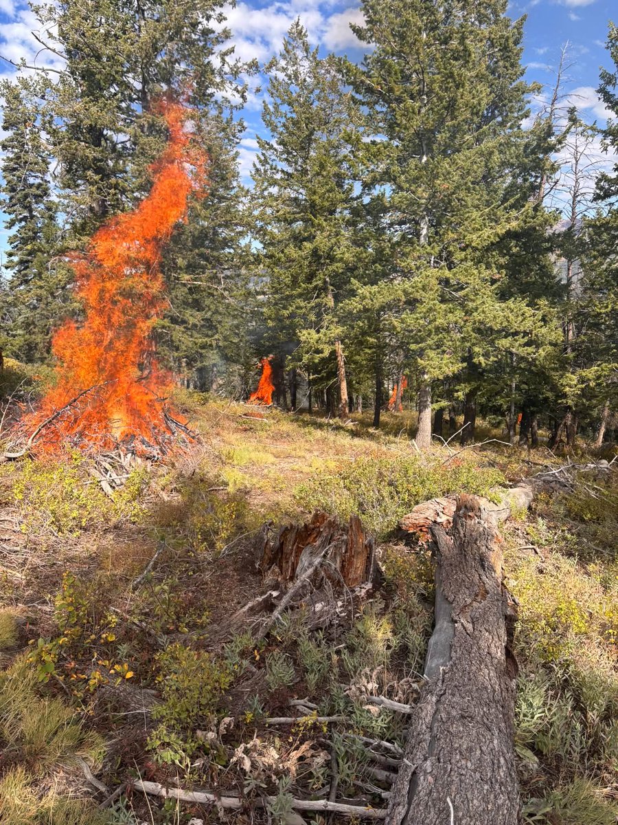 UtahWildfire tweet picture