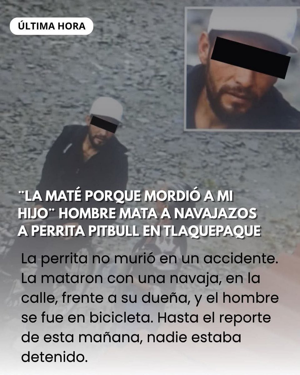 PayasoTristeAlv's tweet photo. Ojo con este agresor https://t.co/wek0P9sq8f