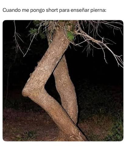 LaRuthSoy's tweet photo. La que envidia a Pampita. 🤣🤣🤣
Lola la plagiadora. https://t.co/nNFFsJa2kR