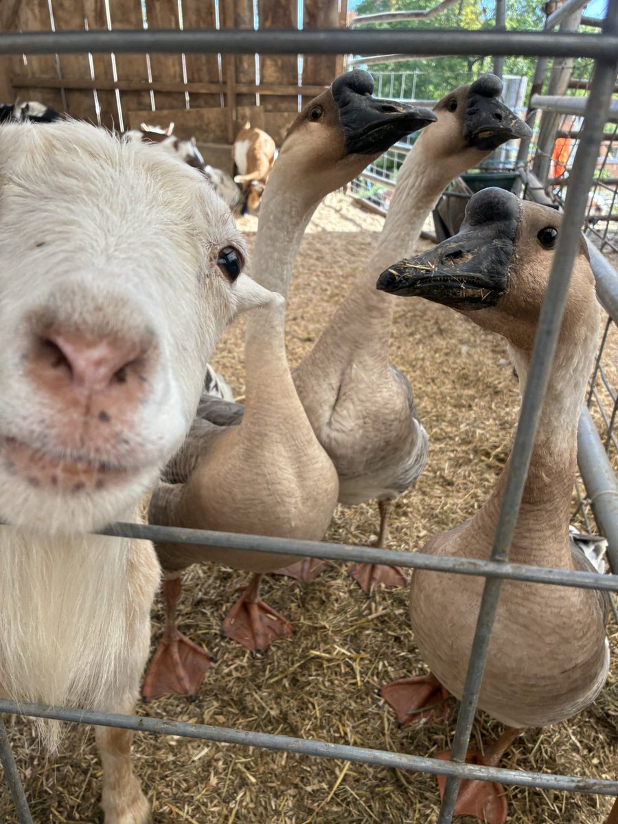 kissnyahkiss's tweet photo. my family #goattwt 😊 https://t.co/QrILWzRGza