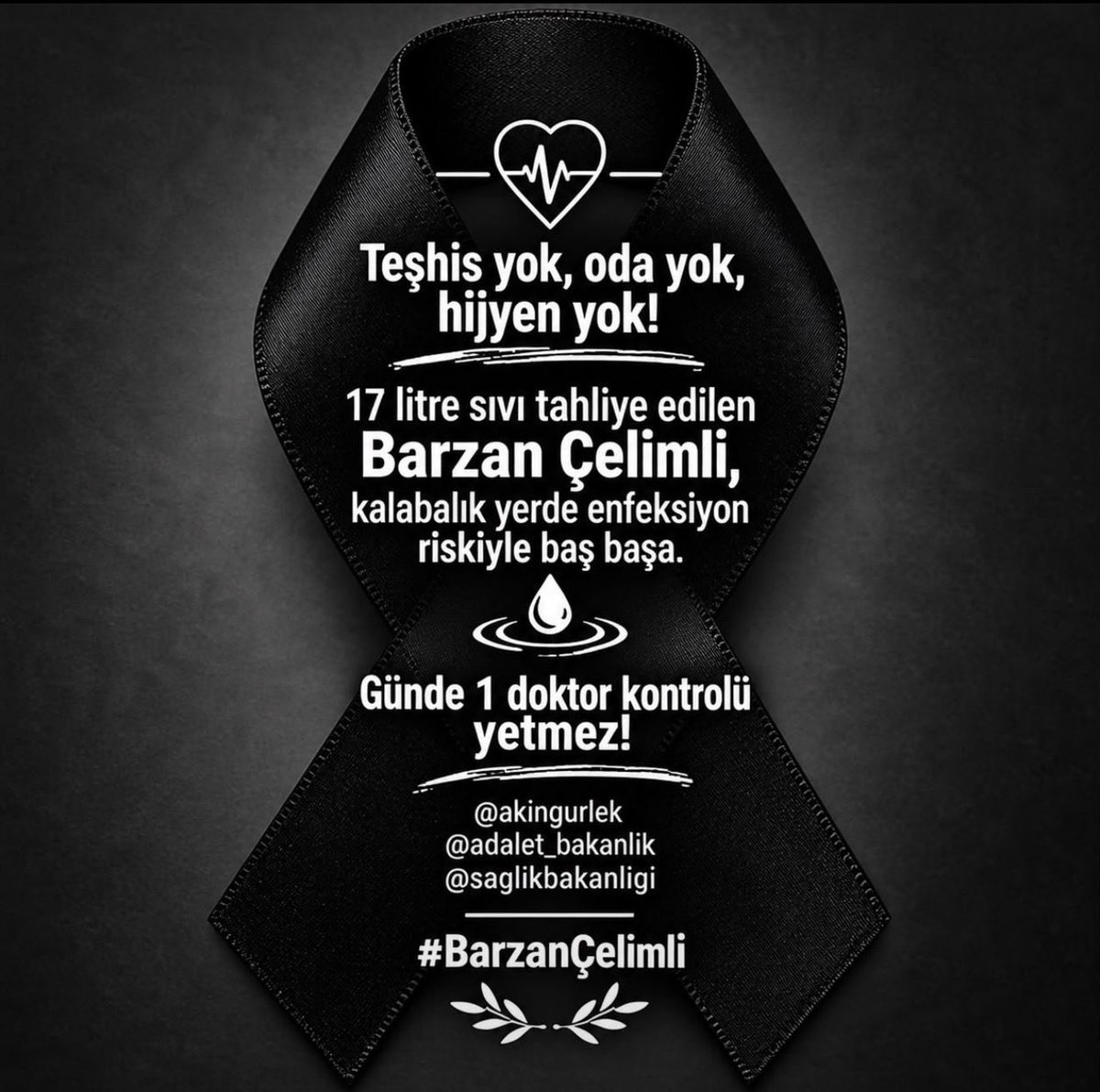 sinaneken19's tweet photo. Sesimize ses verin Hastag #barzançelimli https://t.co/6MmE5cqZ20