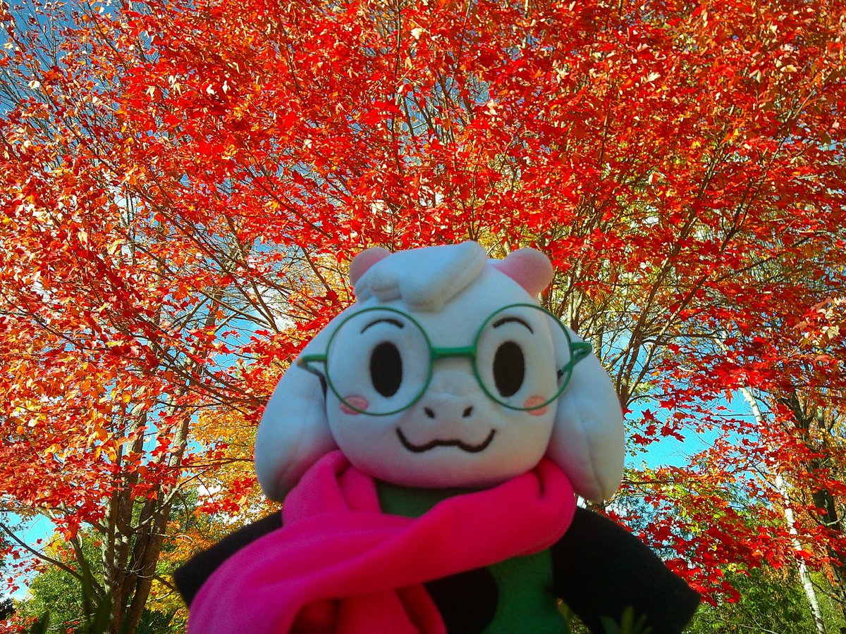 deltarunefan888's tweet photo. #ralsei #deltarune #fall https://t.co/hvpyLOEOaN