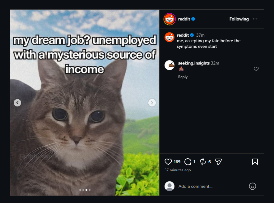 yatsutes's tweet photo. REDDIT JUST GAVE US A "MEME CAT" !!!

They posted a "Mysterious Source of Income" cat??? Literally one of the most famous original crypto memes!

Is this not so good? Look:
https://t.co/UjiGhq6wCn

"Meowsterious Source of Income" https://t.co/UPnCaz0Fuk