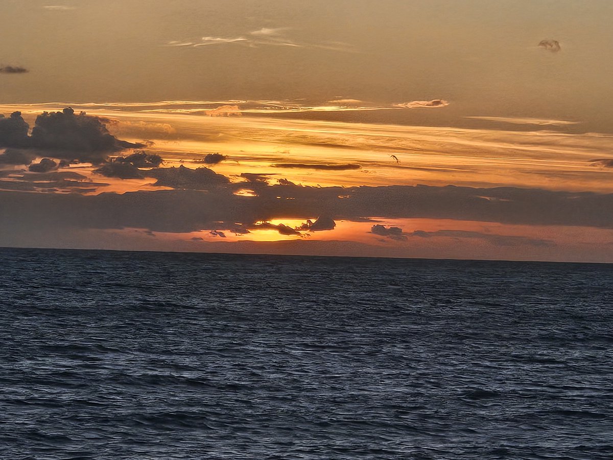 BeachHappy2017's tweet photo. Sunset at Seaford, after a day riding..
#triumph #triumphexplorer #biker #sunset https://t.co/4Q2vYogZCj