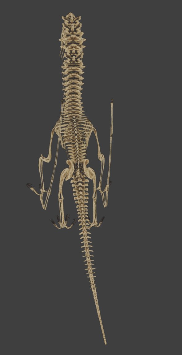 MoroNadakahn's tweet photo. Supercephalosornis Bone Costume 

Working on a pretty cool bone costume for Spooky Season :)

Still WIP, will post final in-game images soon ;)

#survivetheark @survivetheark #mod #skeleton #spooky #halloween #fearascended #dinobones #arksurvivalascended #curseforge https://t.co/lPZncNKGNO