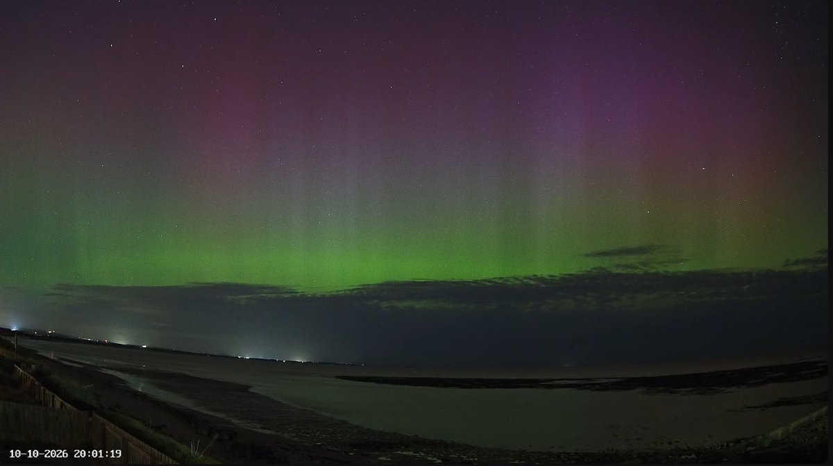 TamithaSkov tweet picture