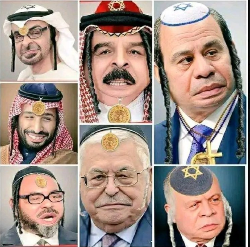 Zorro7732's tweet photo. @LTC_Ariella SHAME to MOROCCO https://t.co/d5dhhizPqW