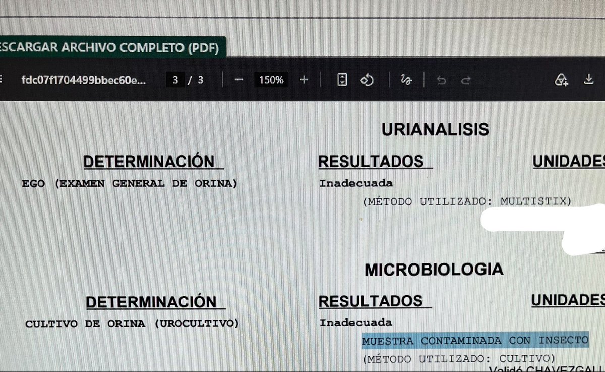jfgf_'s tweet photo. He decidido publicar el 1er reporte de caso de bichuria en México. CJASN, NDT allá vamos https://t.co/PVCVnHPOWc