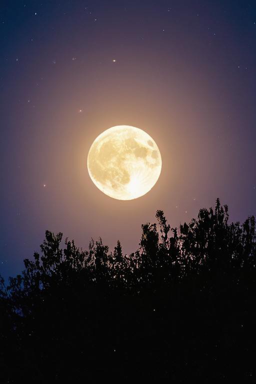 PardhivS's tweet photo. Quiet night, still stars, no thief nearby~ https://t.co/FgPaIuJmF5