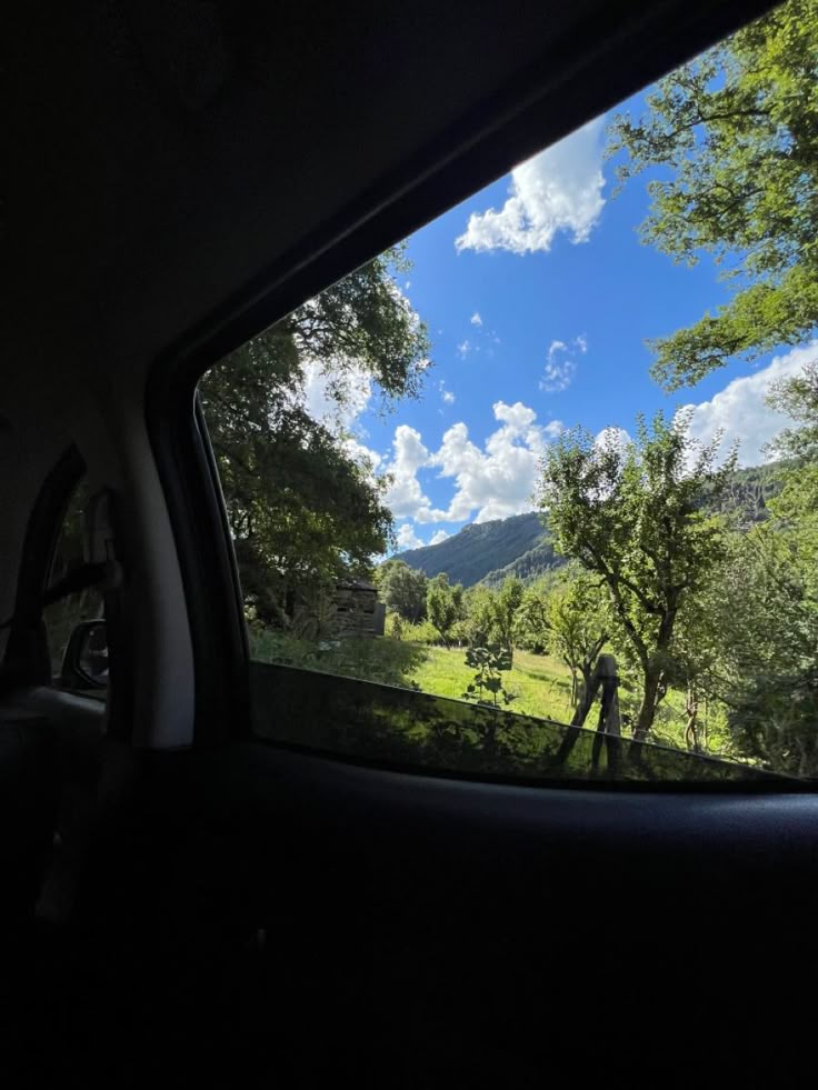 greenvibe's tweet photo. Green branches and blue sky… https://t.co/TfodYOsYPh