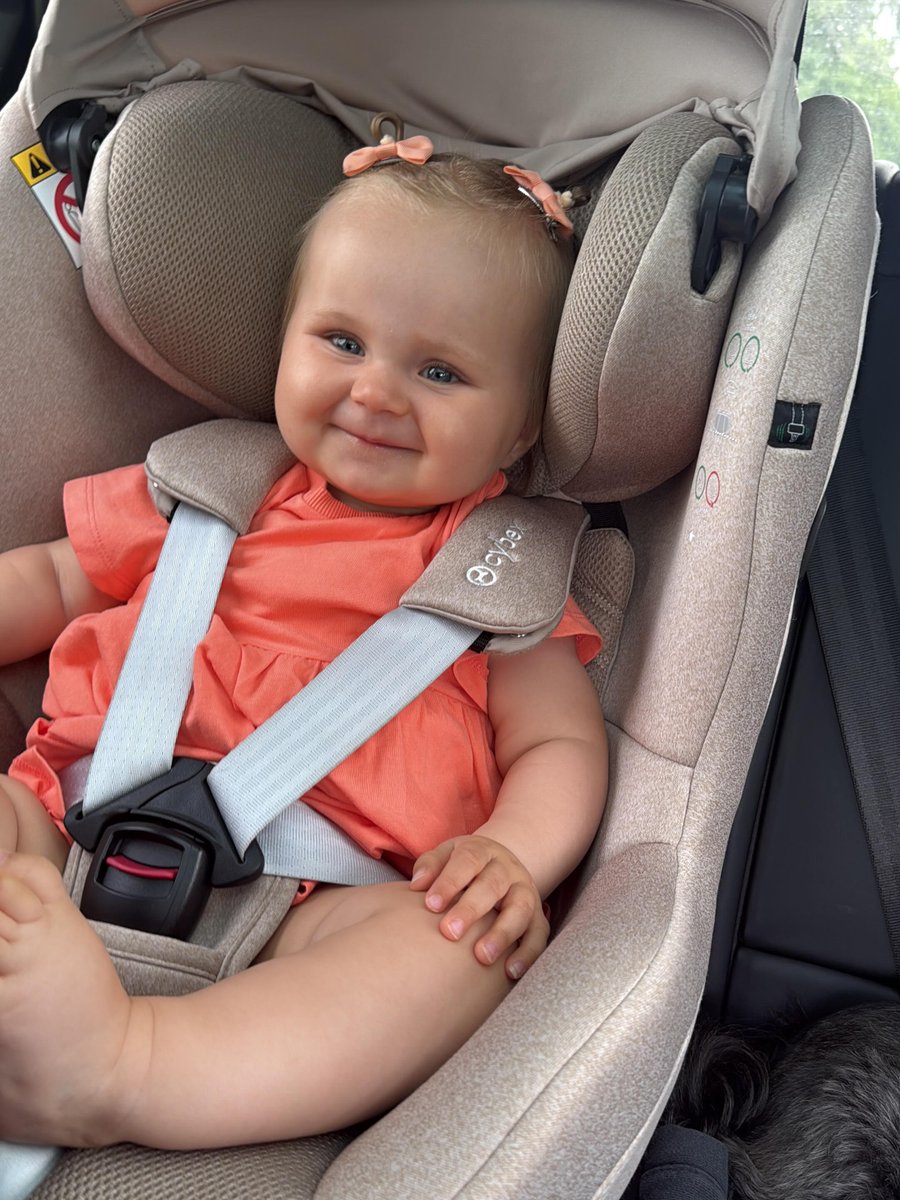 CUTIEEEEEEnina's tweet photo. @AmericaRecharge Teddy is ook voor Oranje. https://t.co/lSGxnjGHQP