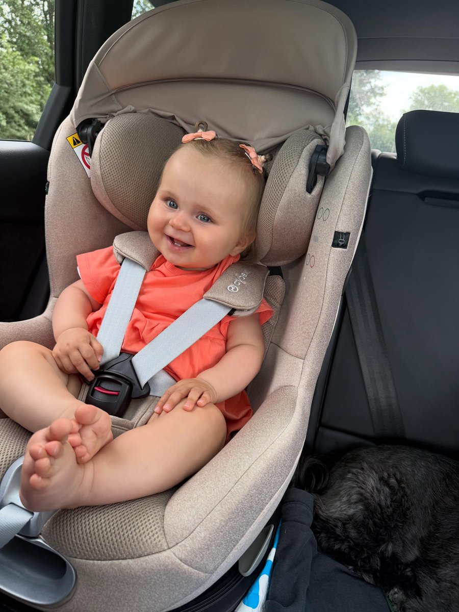 CUTIEEEEEEnina's tweet photo. @AmericaRecharge Teddy is ook voor Oranje. https://t.co/lSGxnjGHQP