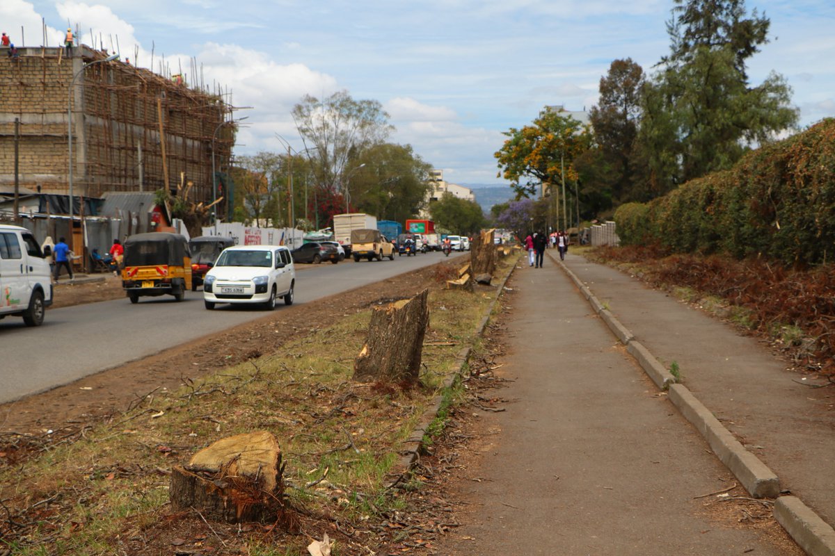 JamesWakibia's tweet photo. I enjoyed walking here. Unfortunately, all the beautiful jacarandas have been sacrificed for road expansion, it will take many years bfo new trees grow. If this section will remain a pedestrian walkway, why cut down the trees? Why not design the project around existing trees? https://t.co/pfHRIHqeTr