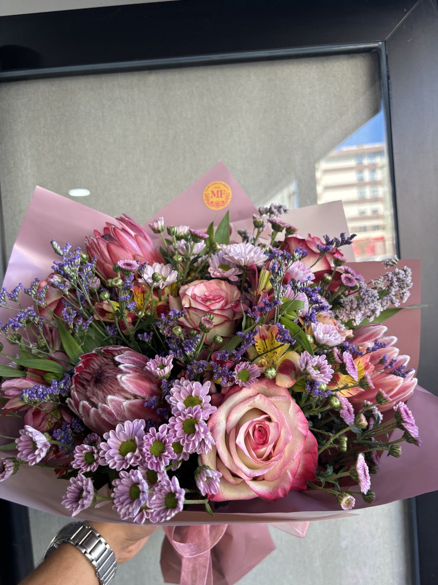 goncalop65's tweet photo. https://t.co/VMAqMjFUVT