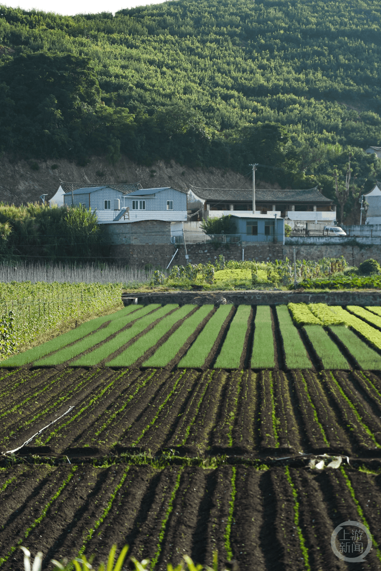 worryworld_'s tweet photo. [挡墙が洪水から農地を守り、肥沃な土地で焦げ付くような暑さにも耐える農村風景]， https://t.co/7AcVerulVK
