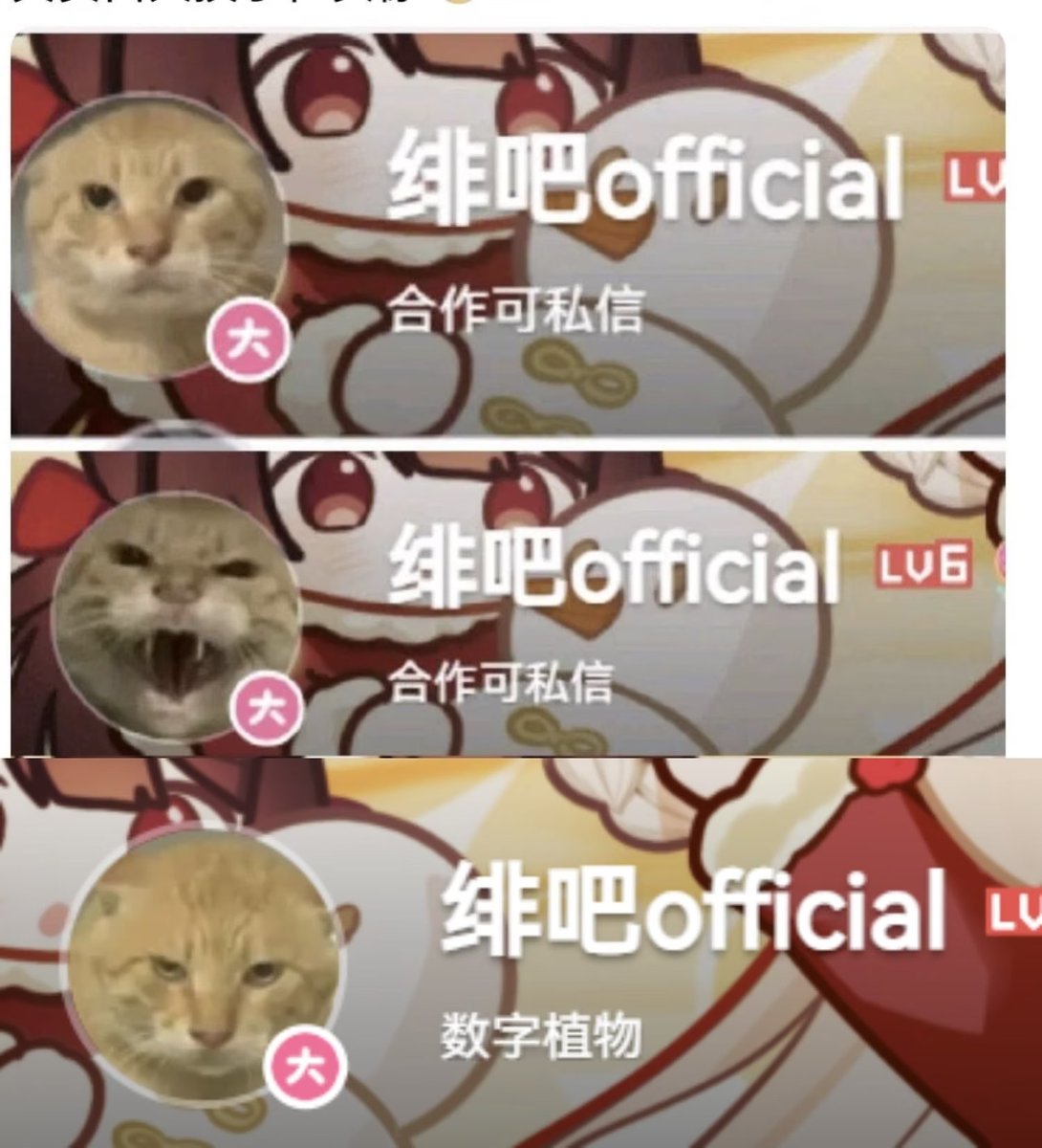 Yuuruishika's tweet photo. 首先我没有为真白かのん送过哪怕一个0.1RMB的粉丝团灯牌，要说🐢也轮不到我
其次，在被背刺之后我认为我的怒气值应该跟绯吧official的大家是相当的
最后，結川ユイナ什么时候毕业回中国挨骂啊？ https://t.co/bHhgol0sZj