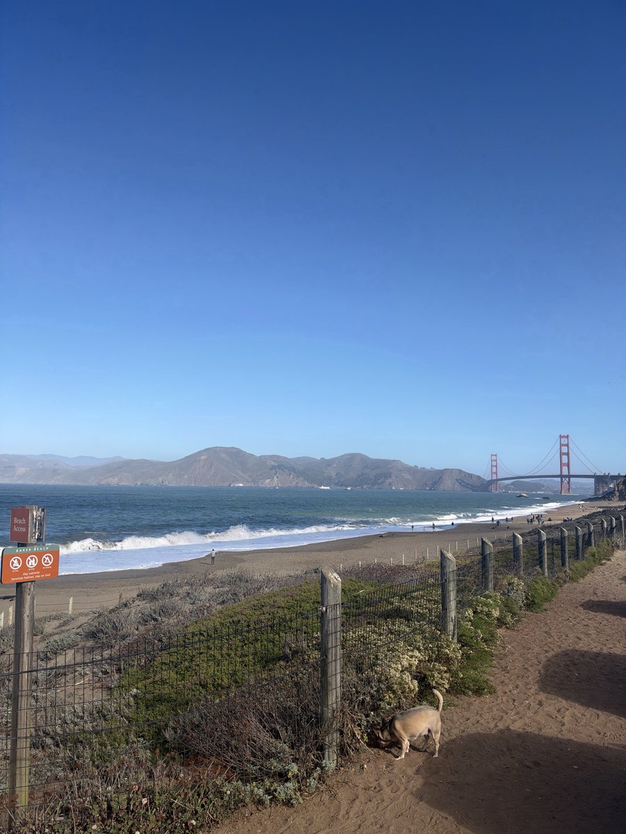 michael_wxng's tweet photo. @ycombinator hike + lunch

Nice to attend theses wellness events https://t.co/2iJFjriOAo