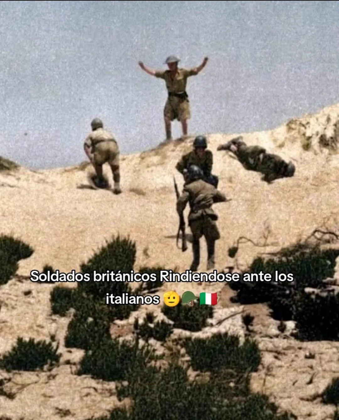 Mapache ESPAÑOL 🇪🇦 on X: 