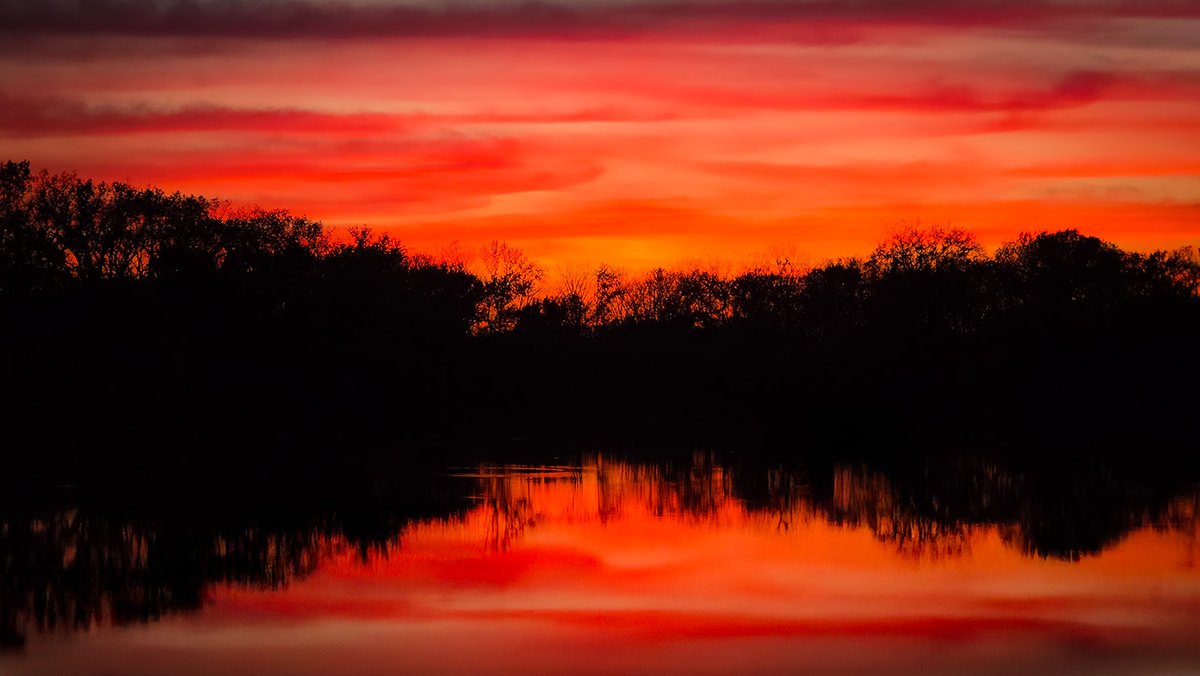 DaveD1973's tweet photo. Skokie Lagoons | Forest Preserve District of Cook County, North of Tower Road | October 2026 @FPDCC https://t.co/QN2RcMFvcP
