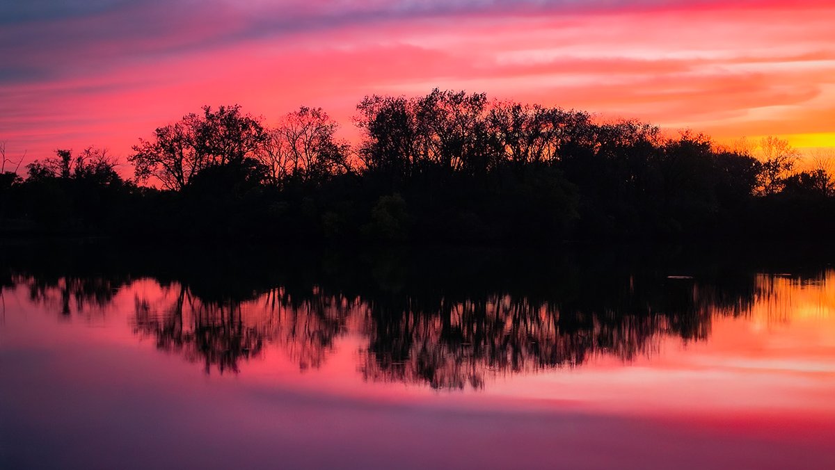 DaveD1973's tweet photo. Skokie Lagoons | Forest Preserve District of Cook County, North of Tower Road | October 2026 @FPDCC https://t.co/QN2RcMFvcP