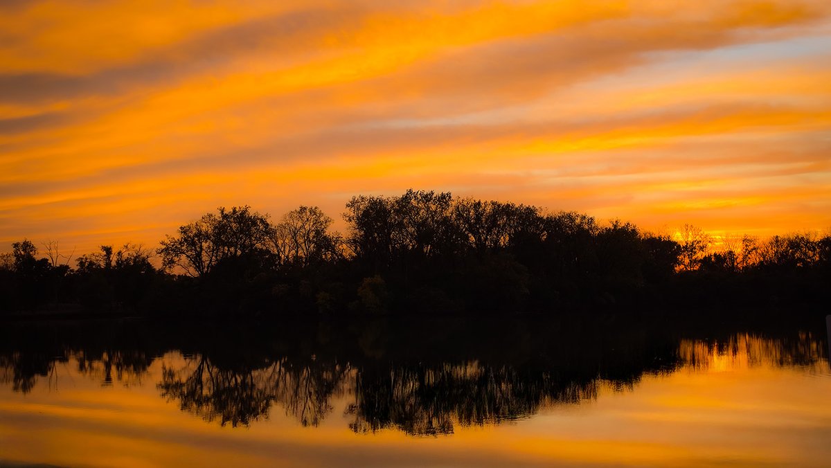 DaveD1973's tweet photo. Skokie Lagoons | Forest Preserve District of Cook County, North of Tower Road | October 2026 @FPDCC https://t.co/QN2RcMFvcP