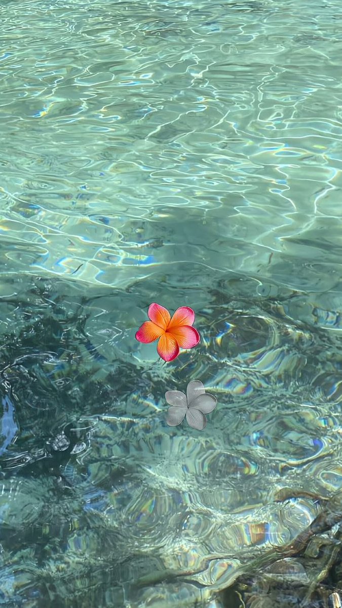 calmlivng's tweet photo. sea serenity https://t.co/cUMP57ISBf