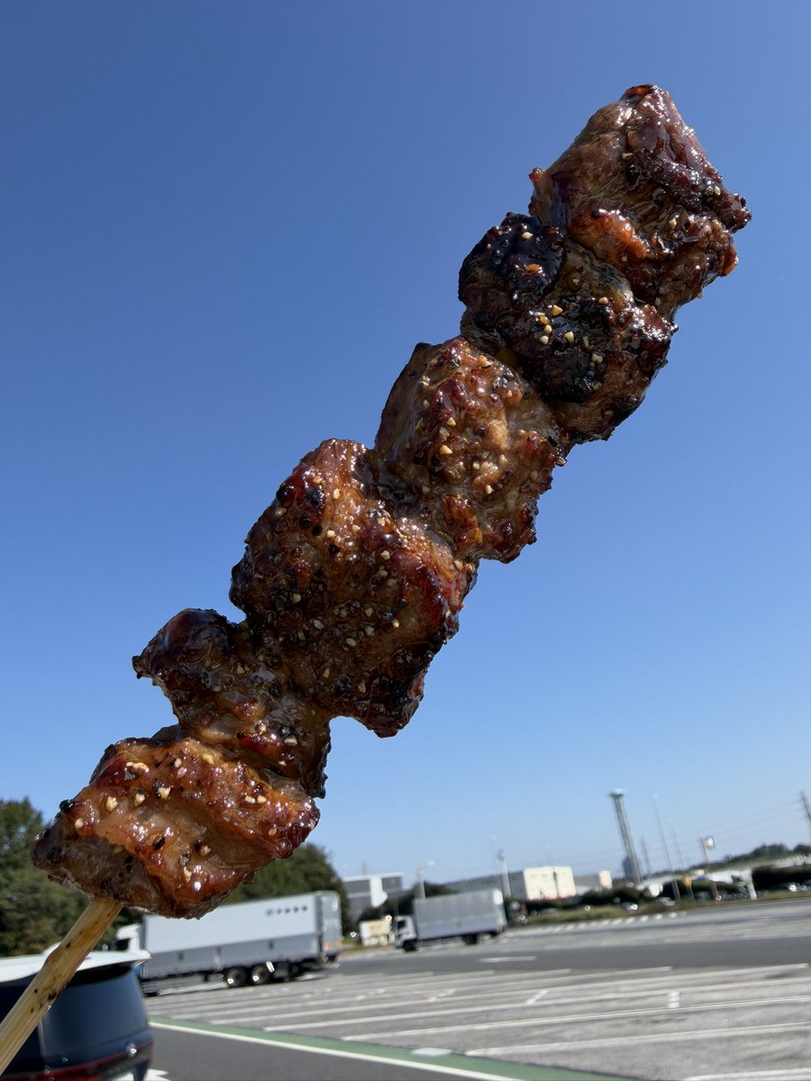 gekkojr's tweet photo. お肉！ https://t.co/EJ5jLIwAPR
