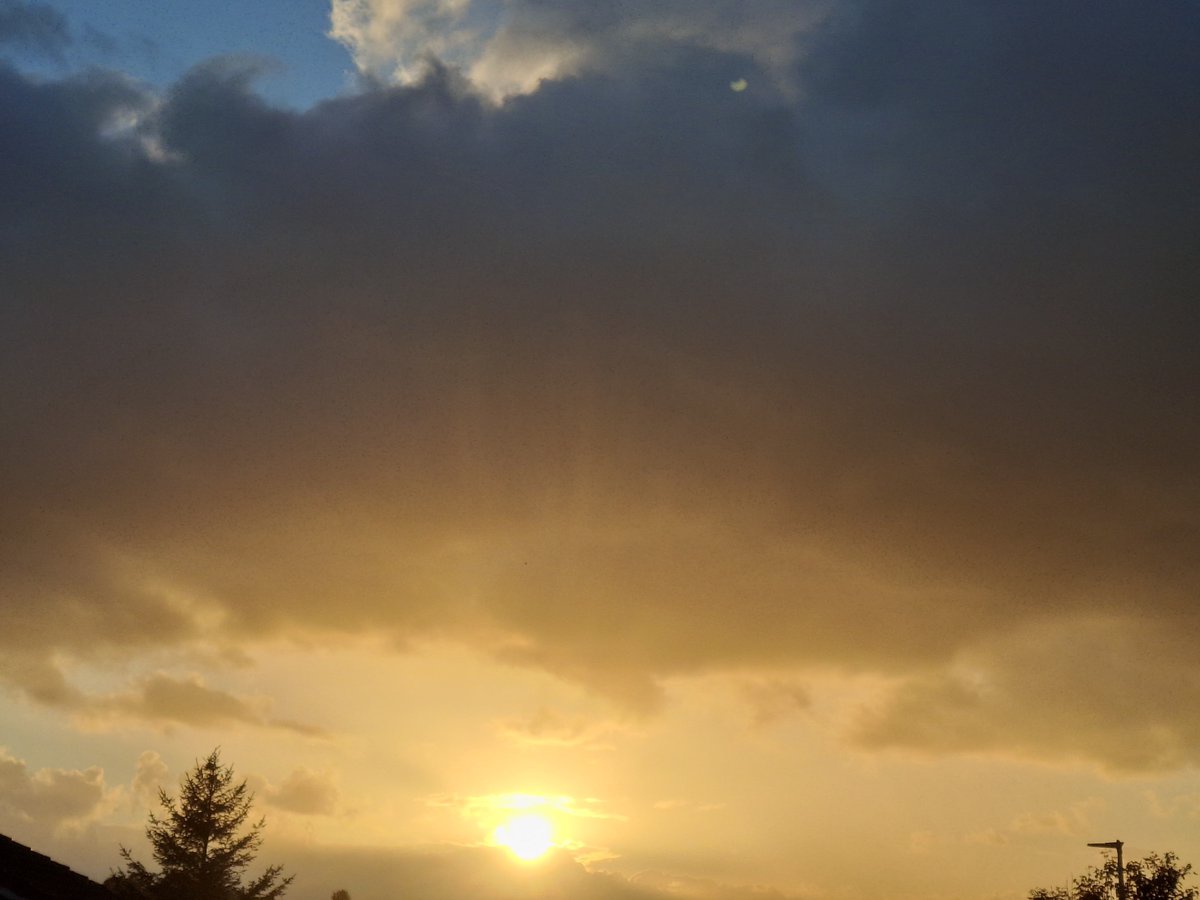 CAYMUSOCAUGHEY's tweet photo. @CAYMUSOCAUGHEY 🐦
Random Sunset
#Random #Sunset #Sunsets #Sky #Skies #Sun #Orange #OrangeSkies #Cloud #Clouds #EndOfTheDay #BallOfFire #Silhouette #Nature #LittleThingsMatter #SunsetsOfTwitter https://t.co/AN1bfveca9